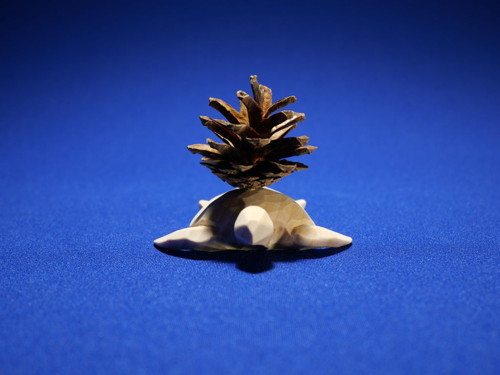 Turtle – Art Collection – Linden Wood