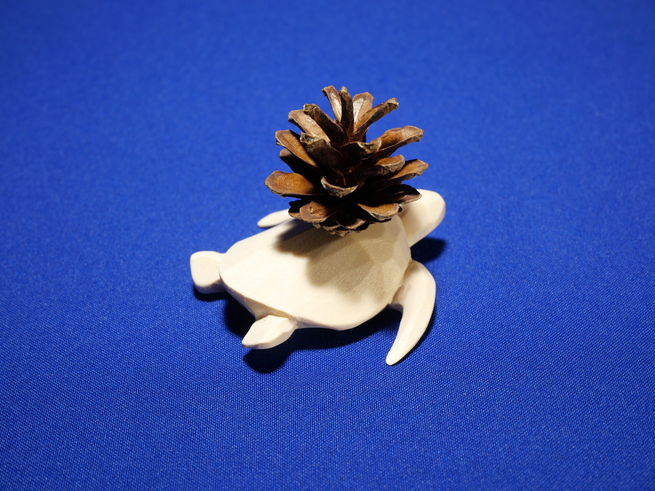 Turtle – Art Collection – Linden Wood
