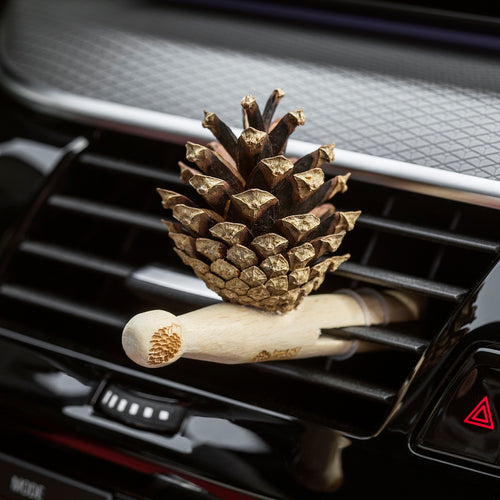 1 × Lady Pinecone® + PROTECTION