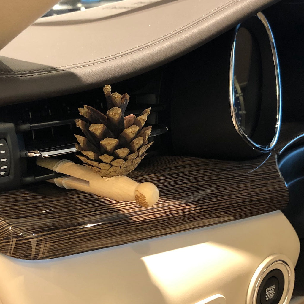 1 × Lady Pinecone® + TRAVEL