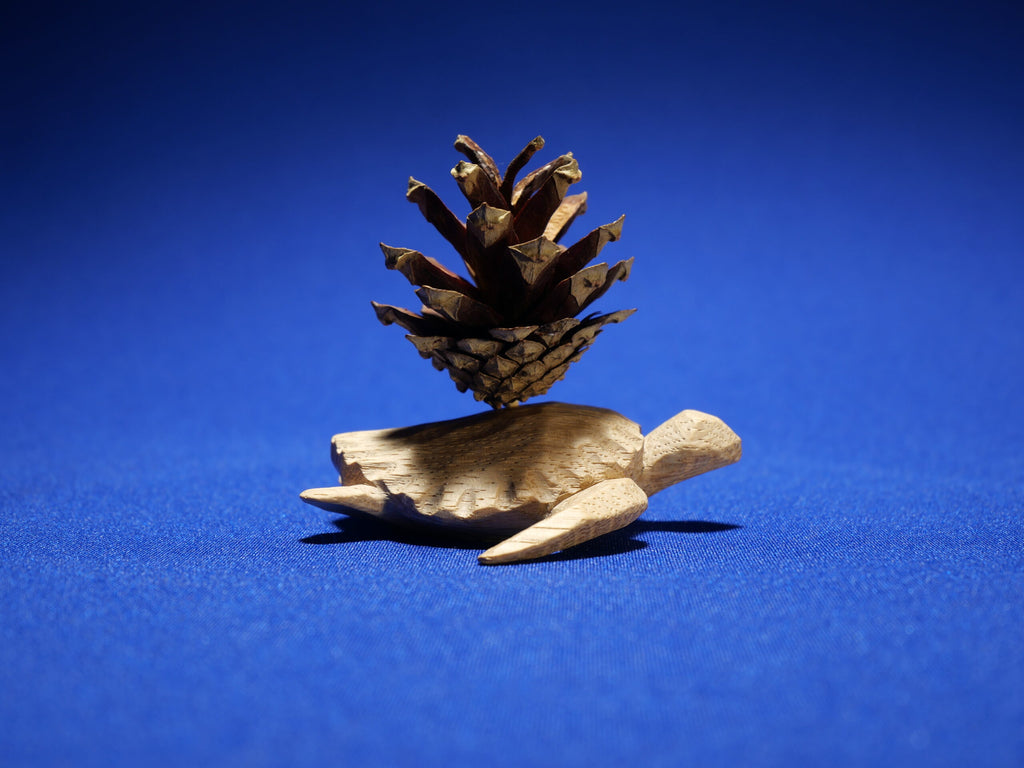 Turtle – Art Collection – Oak Wood