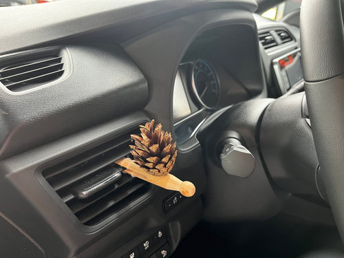 1 × Lady Pinecone® + CONIFEROUS FOREST Composition 10 ml