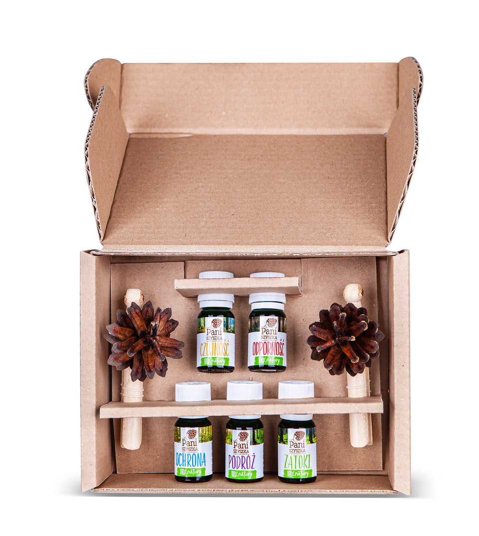 Set of 12 – 2 × Lady Pinecone® + 5 Essential Oil Compositions