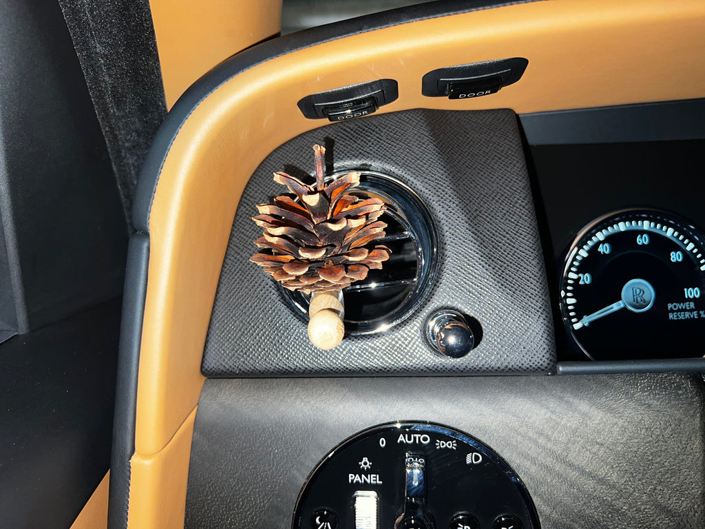  1 × Lady Pinecone® + SINUS RELIEF