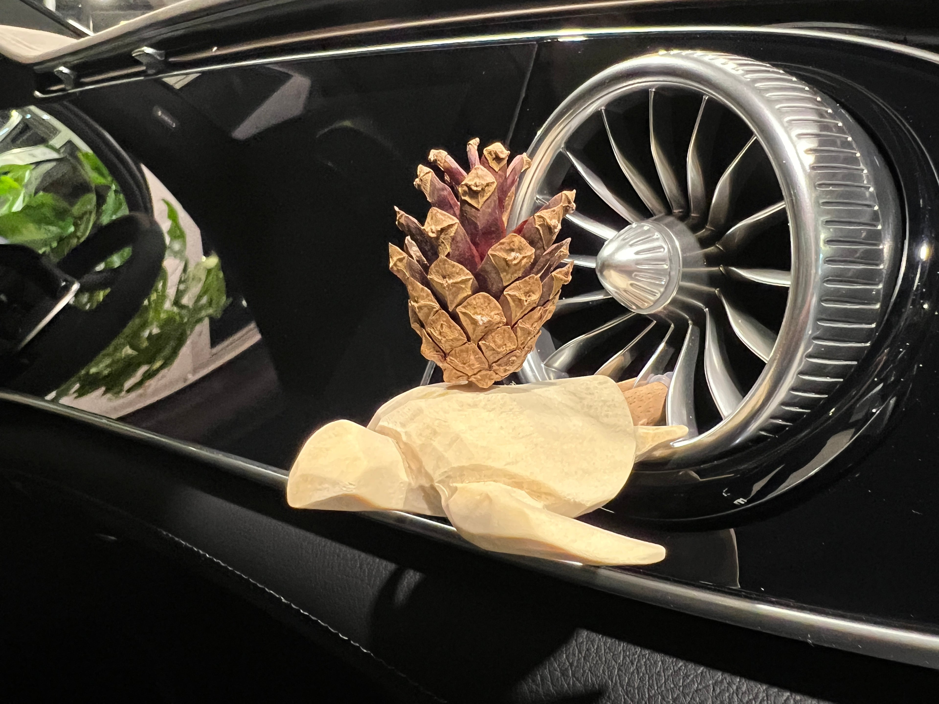Turtle – Art Collection – Linden Wood