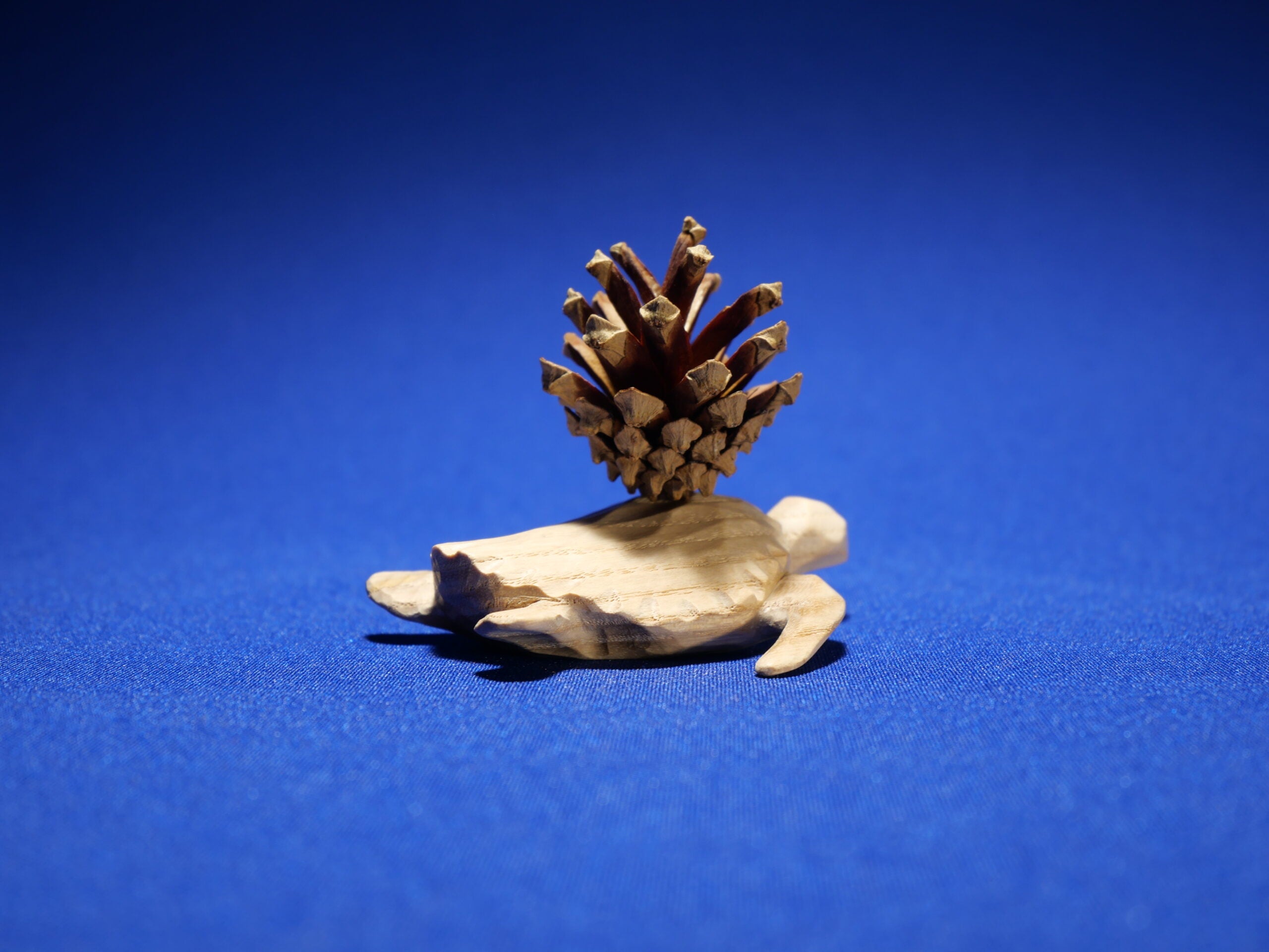 Turtle – Art Collection – Ash Wood