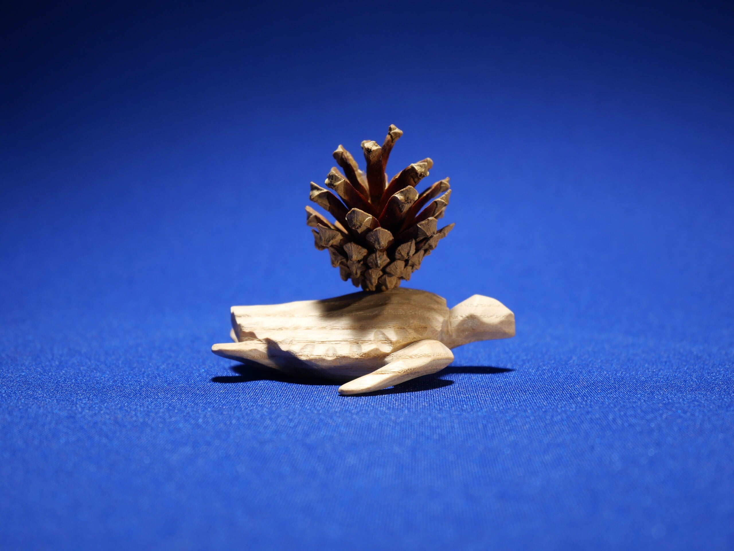Turtle – Art Collection – Ash Wood