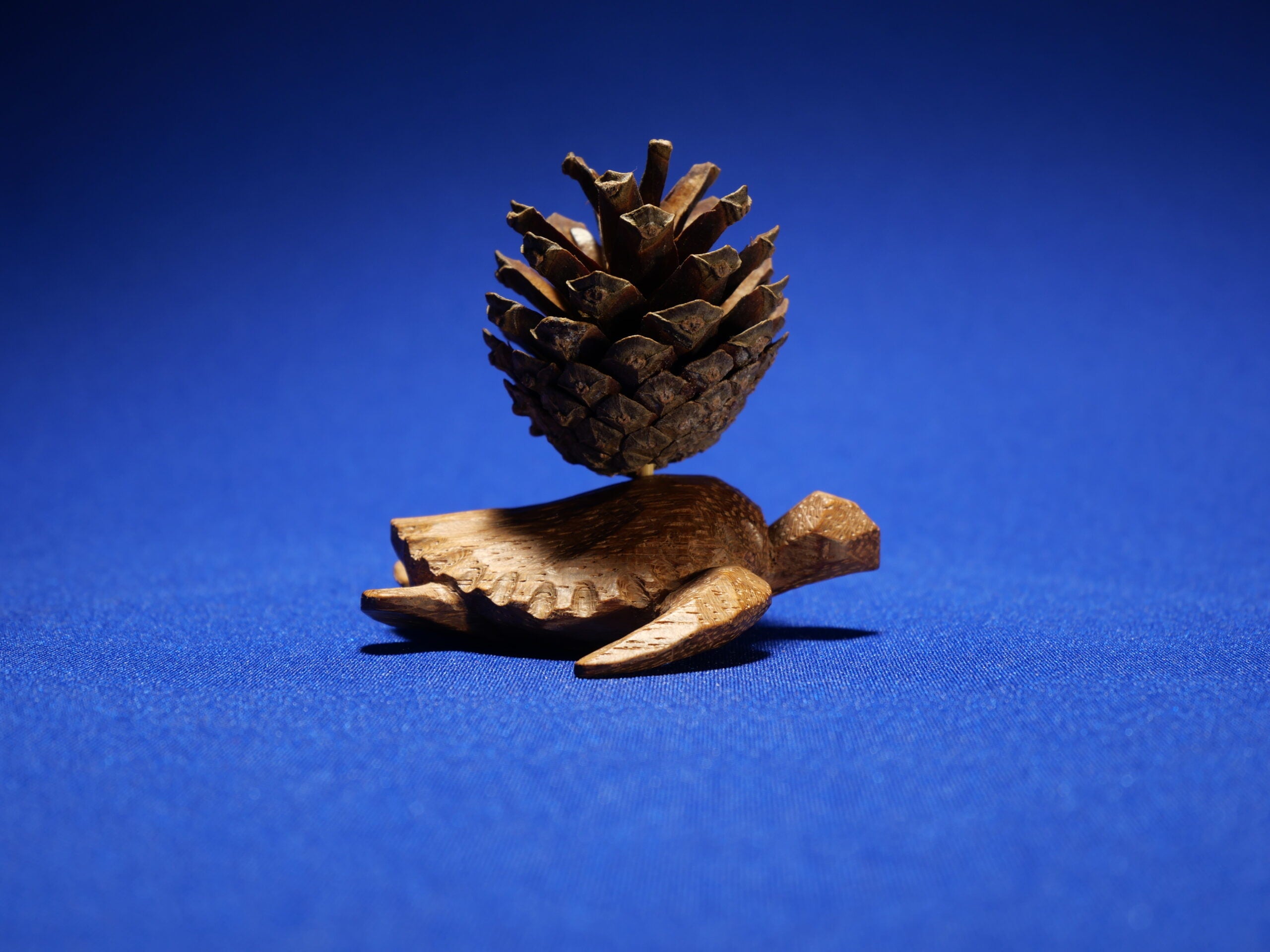 Turtle – Art Collection – Sapele Wood