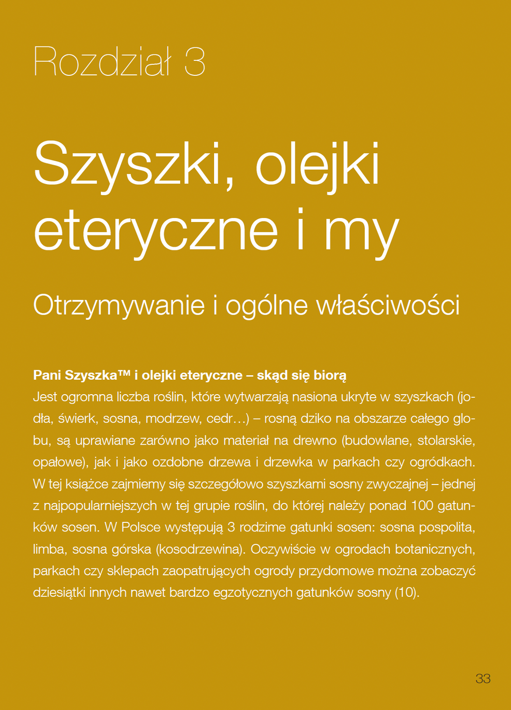 Book “Lady Pinecone® on the Road”