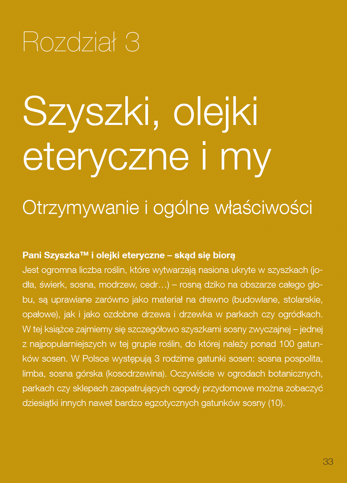 Book “Lady Pinecone® on the Road”