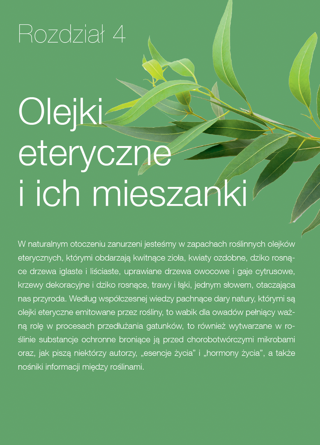 Book “Lady Pinecone® on the Road”