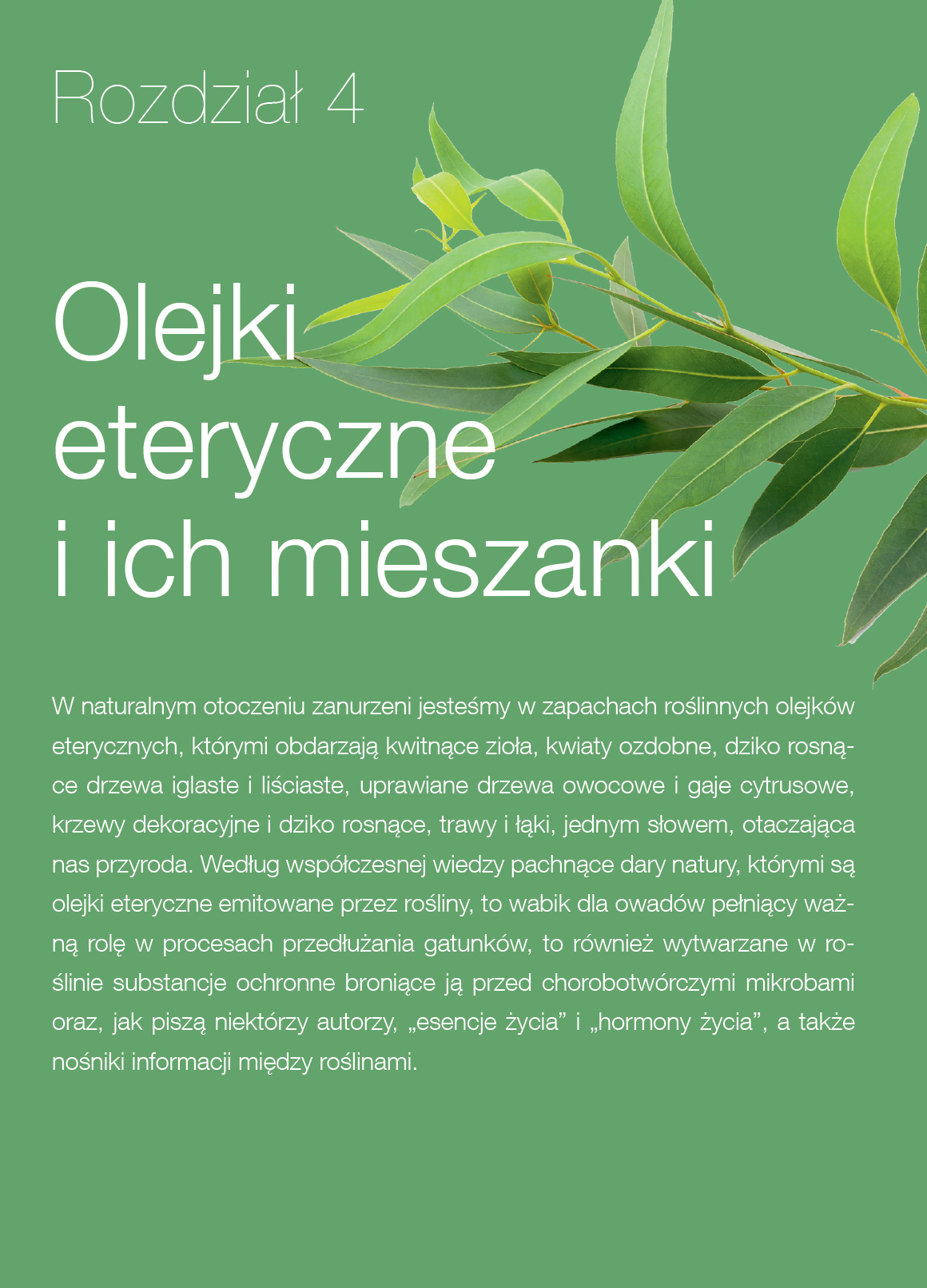 Book “Lady Pinecone® on the Road”