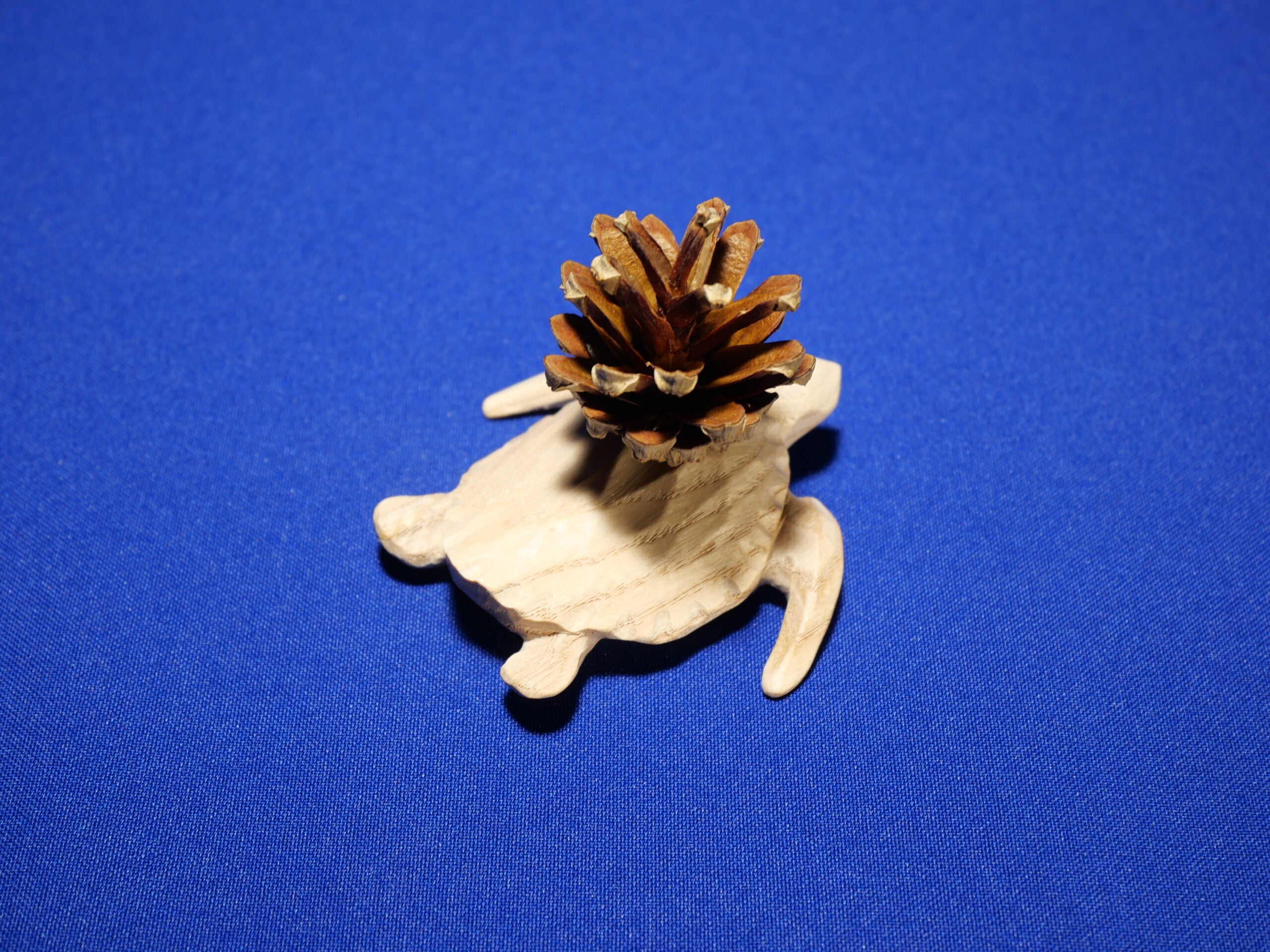 Turtle – Art Collection – Ash Wood