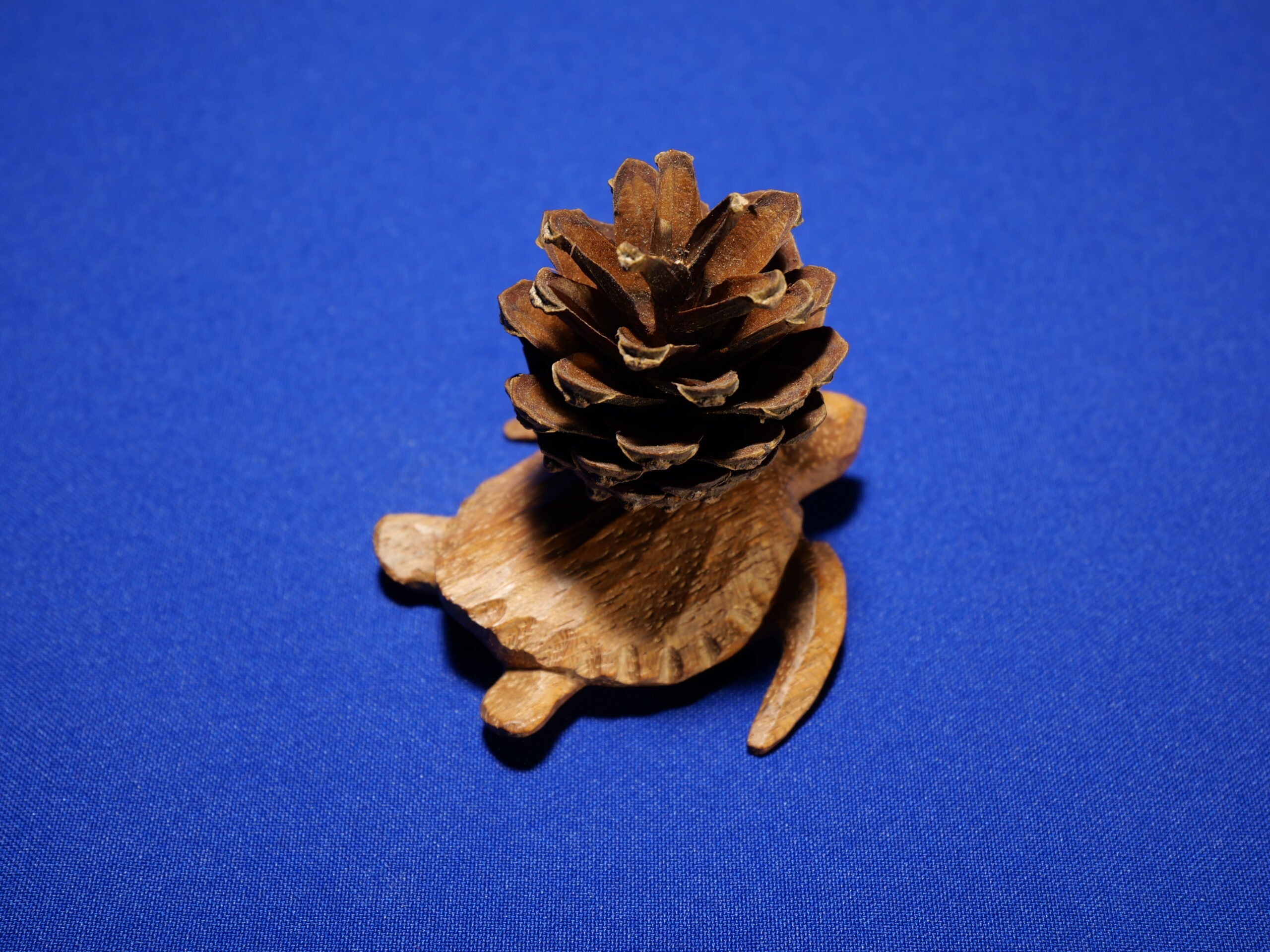 Turtle – Art Collection – Sapele Wood