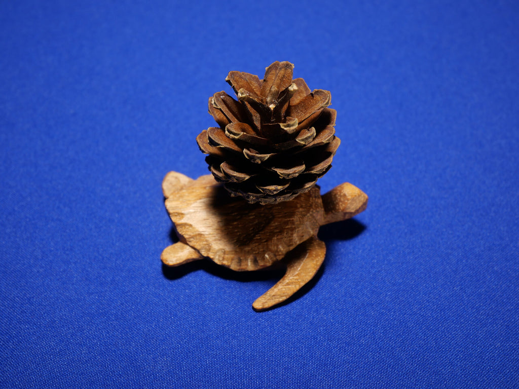 Turtle – Art Collection – Sapele Wood