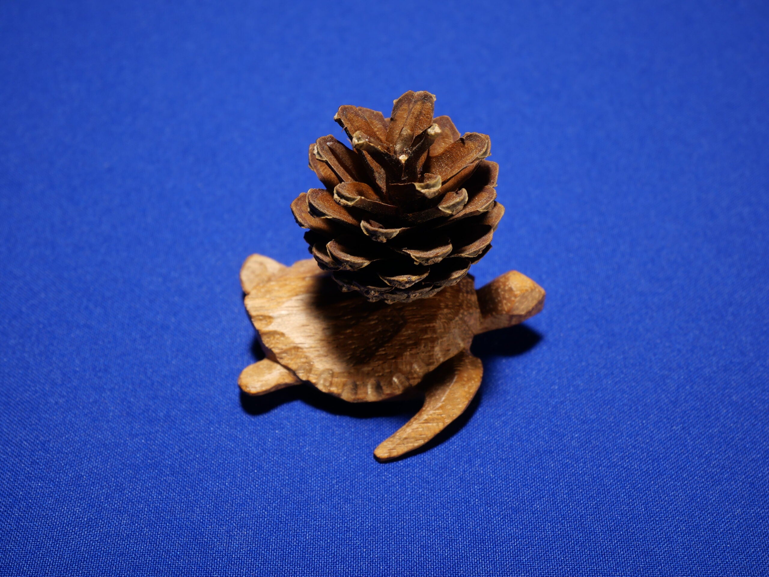 Turtle – Art Collection – Sapele Wood